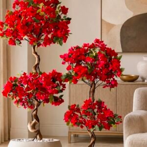 Bougainville 5 Colour